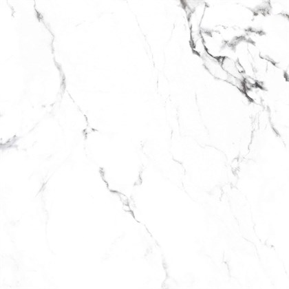 BORGHINI SILVER - фото 141452