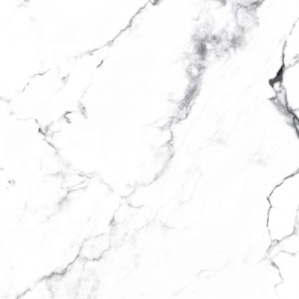 BORGHINI SILVER - фото 141453