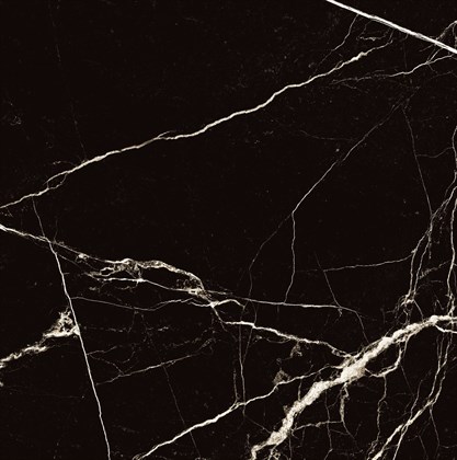 BLACK SPINDER - фото 141475