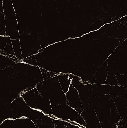 BLACK SPINDER - фото 141477