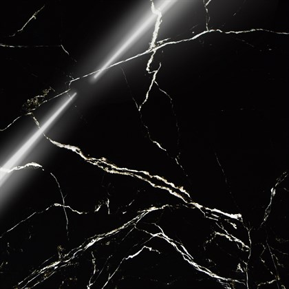 BLACK SPINDER - фото 141479