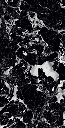 ELEGANT NERO - фото 141553