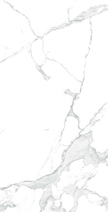 PARADISE STATUARIO - фото 141591