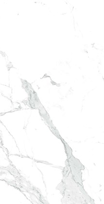 PARADISE STATUARIO - фото 141593