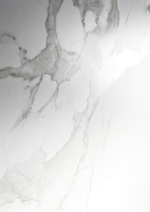 PARADISE STATUARIO - фото 141596