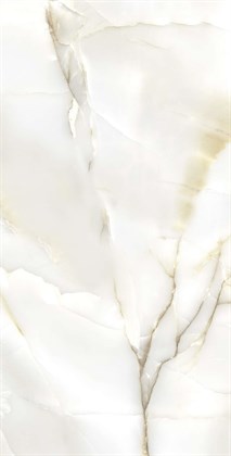 PRIMO ONYX - фото 141639