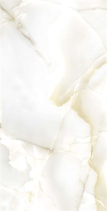 PRIMO ONYX - фото 141640