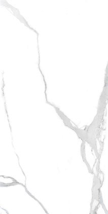 NUVO STATUARIO - фото 141822