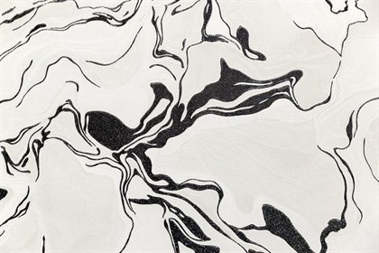 KM7607 Обои виниловые на флизелиновой основе Галатея база универсальная, белый черный KЕРАМА МАРАЦЦИ - фото 142860