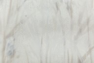 KM7902 Обои виниловые на флизелиновой основе Отражение мотив, бежевый KЕРАМА МАРАЦЦИ - фото 143481