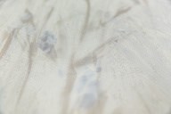 KM7902 Обои виниловые на флизелиновой основе Отражение мотив, бежевый KЕРАМА МАРАЦЦИ - фото 143482