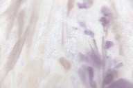 KM7904 Обои виниловые на флизелиновой основе Отражение мотив, серый сиреневый KЕРАМА МАРАЦЦИ - фото 143502