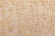 KM8414 Обои виниловые на флизелиновой основе Трофи мотив, бежевый KЕРАМА МАРАЦЦИ - фото 143898