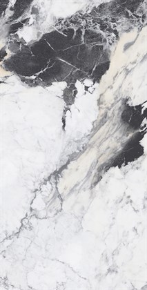 MELVIN DARK - фото 144371