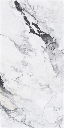 MELVIN DARK - фото 144372