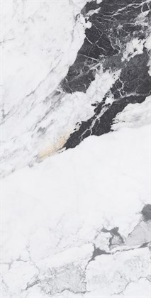 MELVIN DARK - фото 144374