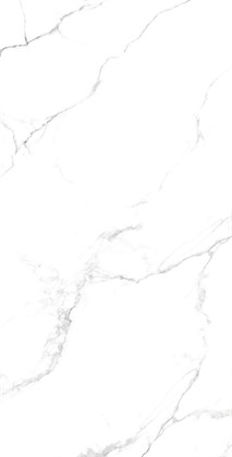 STATIARIO FINE - фото 144505