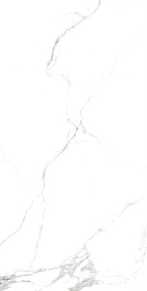 STATIARIO FINE - фото 144507