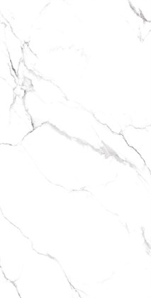 STATIARIO FINE - фото 144508