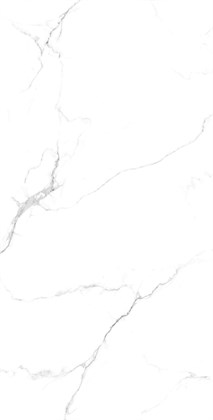 STATIARIO FINE - фото 144509