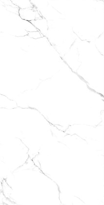 STATIARIO FINE - фото 144511