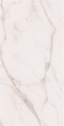 STATUARIO SILK - фото 144514