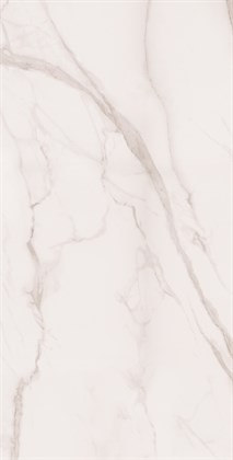 STATUARIO SILK - фото 144515