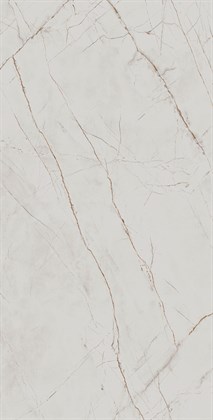 VALENCIA SILVER GREY - фото 144532