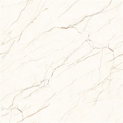 CEASAR - фото 145050
