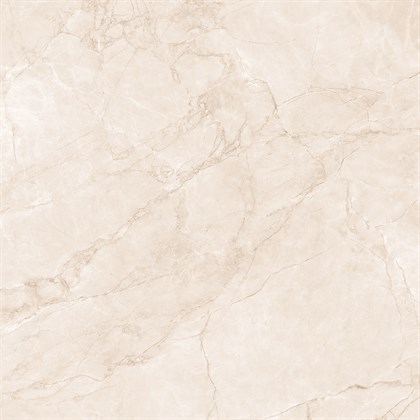 ARCTIC PEARL - фото 145099