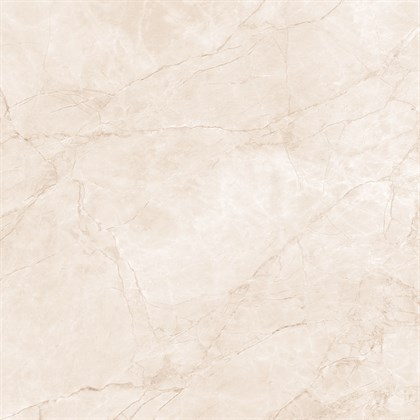 ARCTIC PEARL - фото 145100