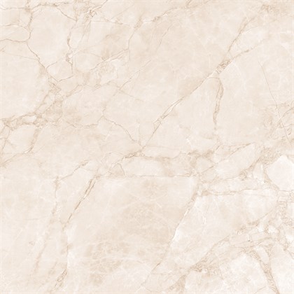 ARCTIC PEARL - фото 145103