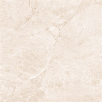 ARCTIC PEARL - фото 145104
