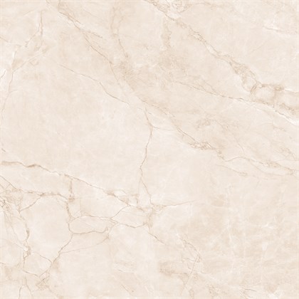 ARCTIC PEARL - фото 145107