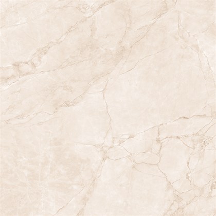 ARCTIC PEARL - фото 145108