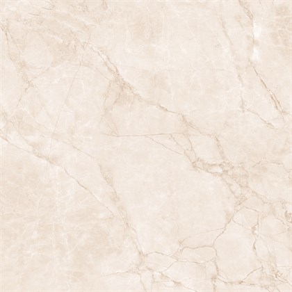 ARCTIC PEARL - фото 145109