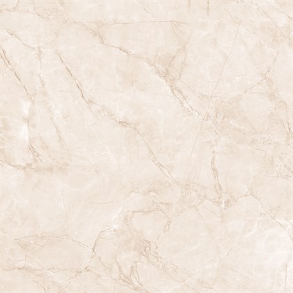 ARCTIC PEARL - фото 145110