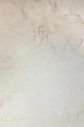 ARCTIC PEARL - фото 145111