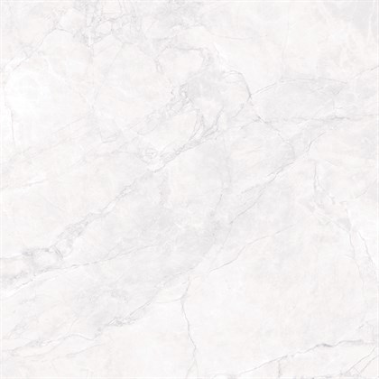 ARCTIC WHITE - фото 145114