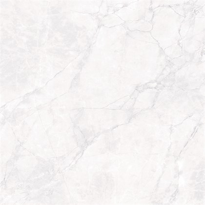 ARCTIC WHITE - фото 145115