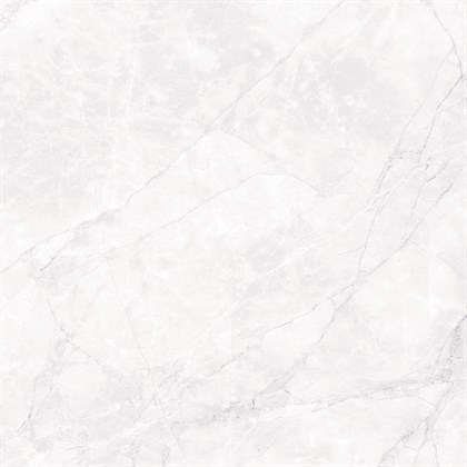 ARCTIC WHITE - фото 145118