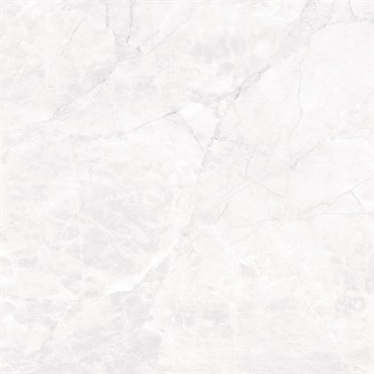 ARCTIC WHITE - фото 145119