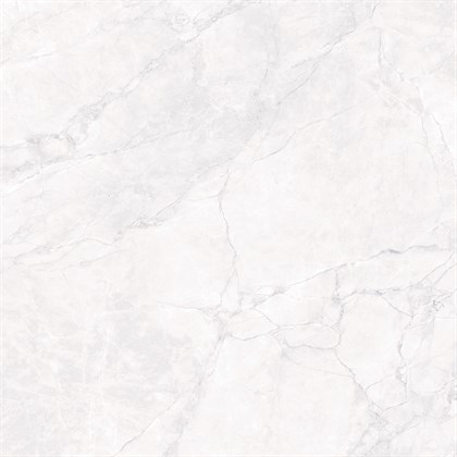 ARCTIC WHITE - фото 145121
