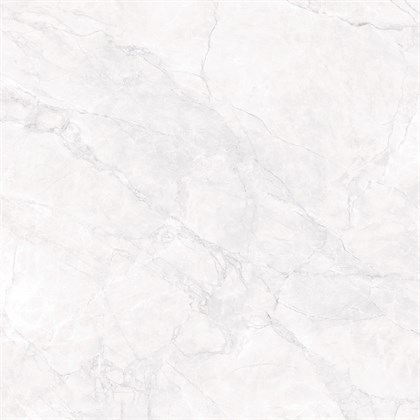 ARCTIC WHITE - фото 145122