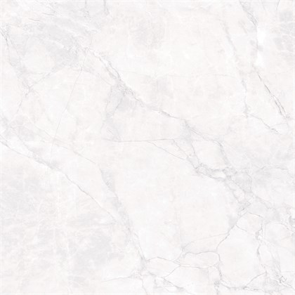 ARCTIC WHITE - фото 145123