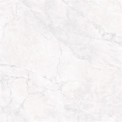 ARCTIC WHITE - фото 145124