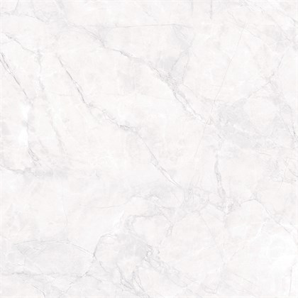 ARCTIC WHITE - фото 145125
