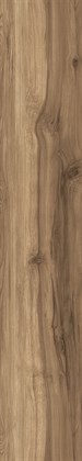 FOSSIL WOOD WENGE - фото 145416