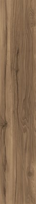 FOSSIL WOOD WENGE - фото 145417