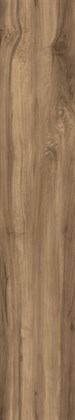 FOSSIL WOOD WENGE - фото 145419